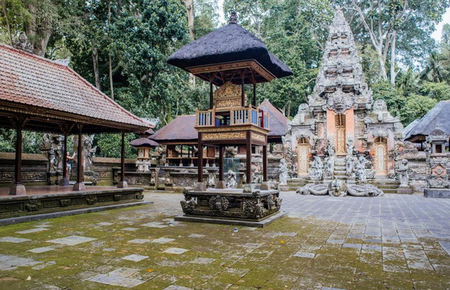 Quad Adventure and Monkey Forest - Full-Day Tour with Lunch - Photo 3